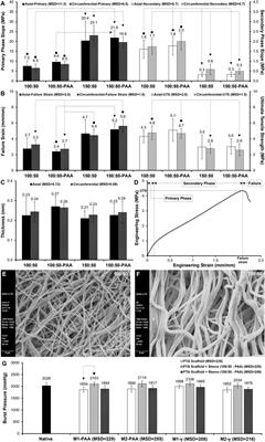 Development of a dual-component infection-resistant arterial replacement for small-caliber reconstructions: A proof-of-concept study